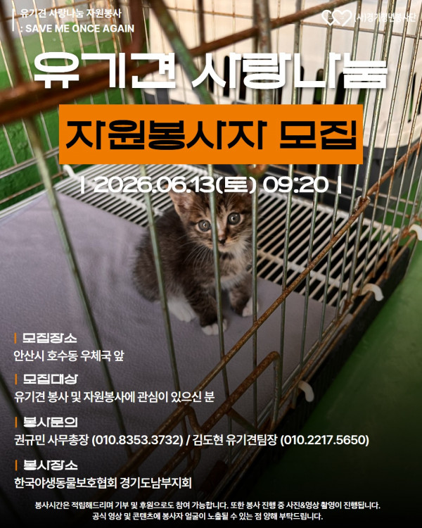2026_06_13_유기견사랑나눔_봉사자모집.jpg